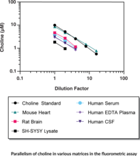 Acetylcholine/Choline Fluorometric/Colorimetric Assay Kit