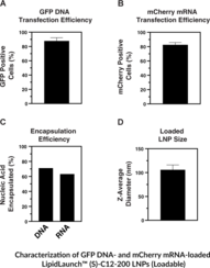 LipidLaunch™ (S)-C12-200 LNP Kit (Loadable)
