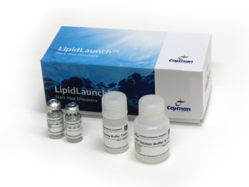 LipidLaunch™ (S)-C12-200 LNP Kit (Loadable)