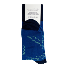 Lipid Socks 2022 - Structures