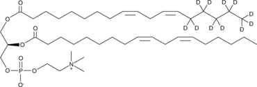 1-Linoleoyl-d11-2-Linoleoyl-sn-glycero-3-PC (1,2-Dilinoleoyl-sn-glycero-3-Phosphocholine-d11, DLPC-d11, 18:2 (cis) PC-d11)