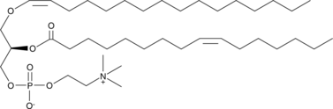 1-(1(Z)-Hexadecenyl)-2-palmitoleoyl-sn-glycero-3-phosphocholine