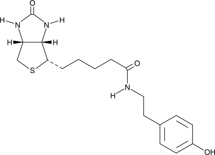 Biotinyl Tyramide (CAS Number: 41994-02-9)