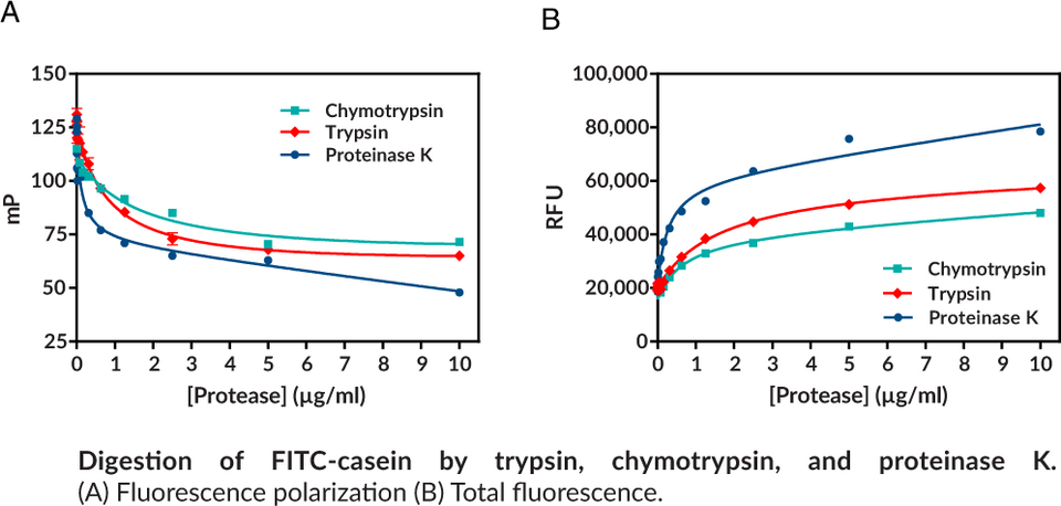 Protease Activity Assay Kit